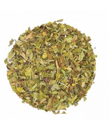 Menta Organica