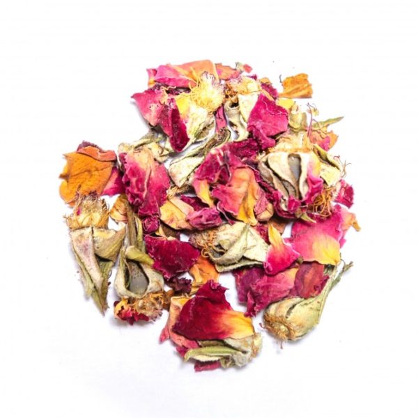 Petalos de Rosa Canina