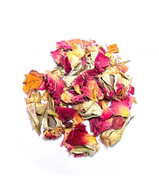 Petalos de Rosa Canina