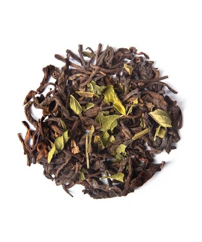 PuErh Menta