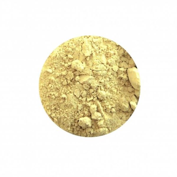 Raiz de Jengibre en Polvo