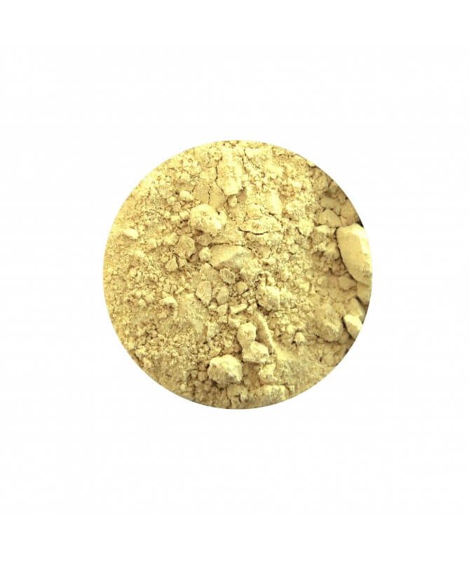 Raiz de Jengibre en Polvo