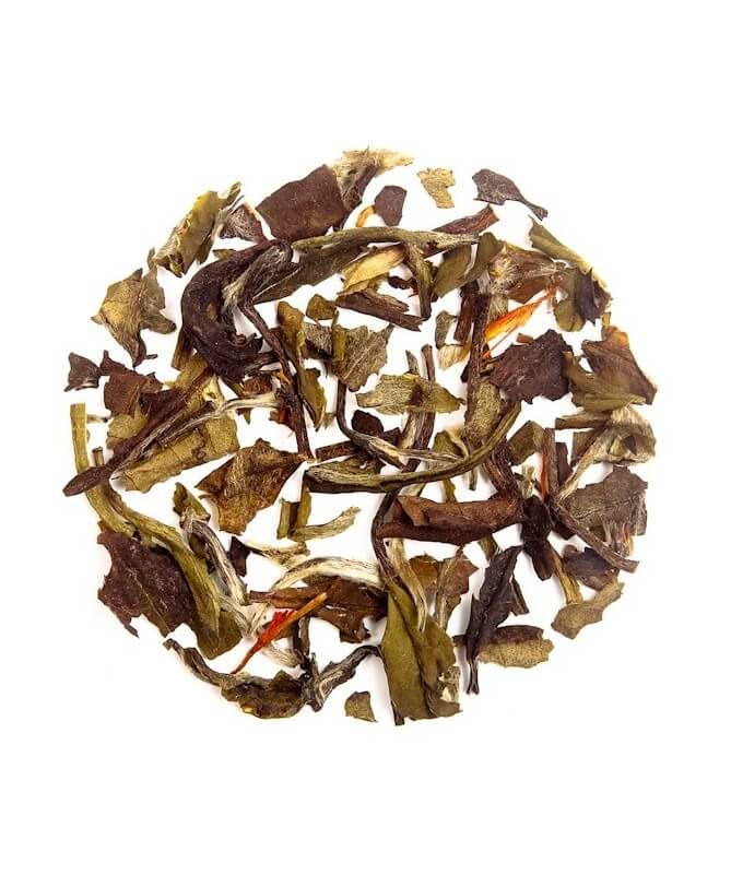Té Blanco Champana Frutal